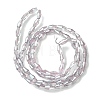Transparent Electroplate Glass Beads X1-GLAA-K064-05A-PL06-2