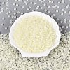 Transparent Glass Seed Beads SEED-Q041-01B-1