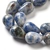 Natural Blue Spot Jasper Beads Strands G-B106-A15-02-4