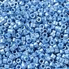 Baking Paint Glass Seed Beads SEED-S042-15A-11-3