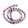 Natural Chevron Amethyst Beads Strands G-P463-13-3