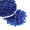 Oval Glass Seed Beads SEED-T009-02I-2