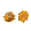 Handmade Gold Sand Lampwork Beads LAMP-K044-01-3