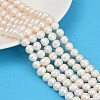 Natural Cultured Freshwater Pearl Beads Strands PEAR-I007-07J-06A-1