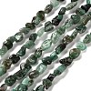 Natural Emerald Beads Strands G-P497-01E-15-1