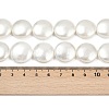 Electroplated Shell Pearl Beads Strands BSHE-G027-13D-5