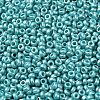 Baking Paint Glass Seed Beads SEED-P006-03A-31-3