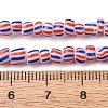 Handmade Lampwork Beads Strands BLOW-K001-01B-13-2