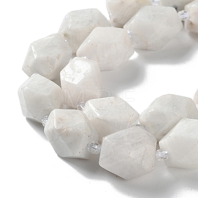 Natural Rainbow Moonstone Beads Strands G-C182-21-02-1