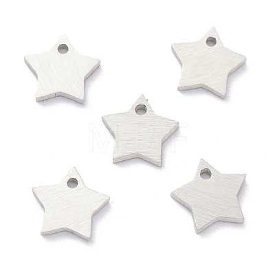 Tarnish Resistant 304 Stainless Steel Pendants STAS-K216-46P-1