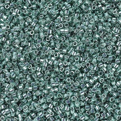 MIYUKI Delica Beads SEED-MY11-DB0416-1