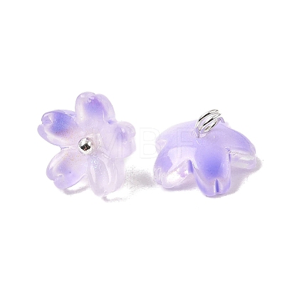 Glass Charms GLAA-G127-05-1