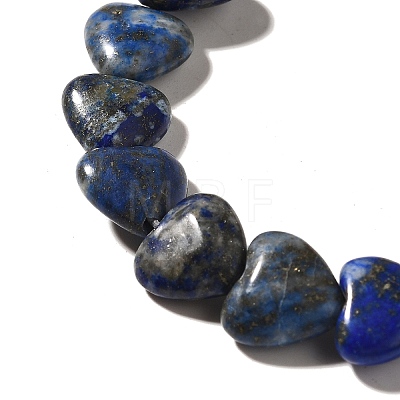 Natural Lapis Lazuli Beads Strands G-R190-10mm-54B-1