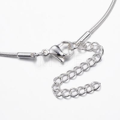 304 Stainless Steel Snake Chain Necklaces NJEW-E087-01S-1