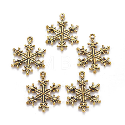 Zinc Tibetan Style Alloy Pendants LS-TIBEP-12740-AG-FF-1