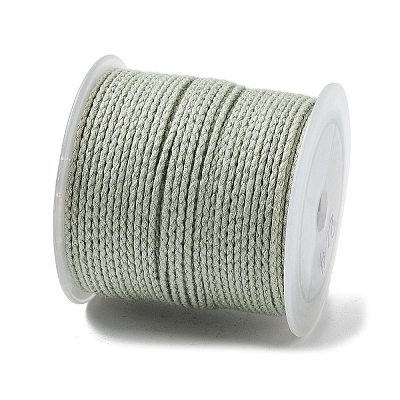 20M Polyester Braided Cord for Jewelry Making OCOR-G015-04A-23-1