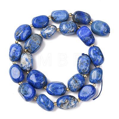 Natural Lapis Lazuli Beads Strands G-G453-D11-01-1