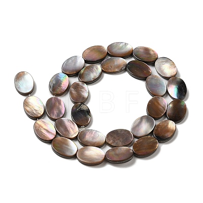 Natural Sea Shell Beads Strands SHEL-K006-33-1