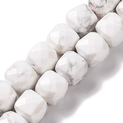 Natural Howlite Beads Strands G-G001-B03-06-1