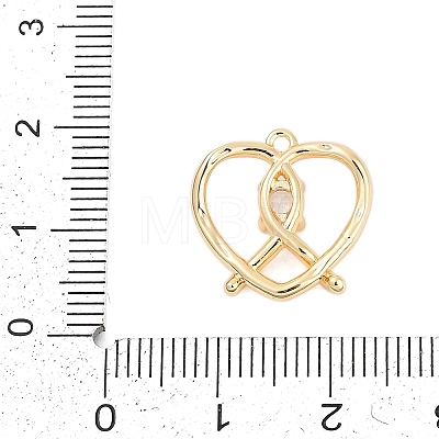 Brass Micro Pave Cubic Zirconia Pendants ZIRC-P122-01D-G01-1