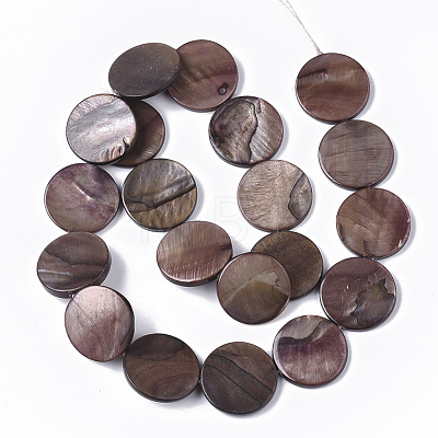 Freshwater Shell Beads Strands SHEL-T014-011-1
