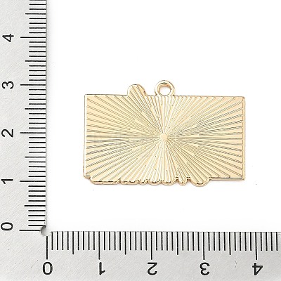 Sports Alloy Enamel Pendants ENAM-I074-01G-06-1
