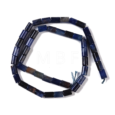 Natural Sodalite Beads Strands G-C128-A25-01-1