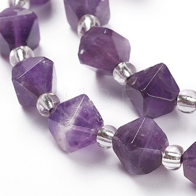 Natural Amethyst Beads Strands G-Z014-09-1