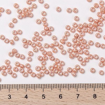 MIYUKI Round Rocailles Beads X-SEED-G008-RR0596-1