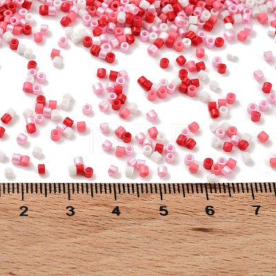 Baking Paint Glass Seed Beads X-SEED-S042-05B-46-1