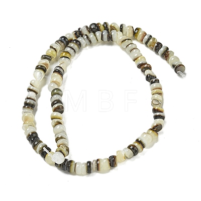 Natural Black Lip Shell Beads Strands BSHE-G039-02-1