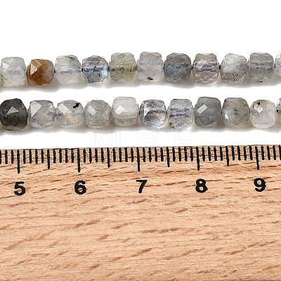 Natural Labradorite Beads Strands G-D358-A01-1