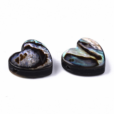 Natural Abalone Shell/Paua Shell Beads SSHEL-T014-15-1