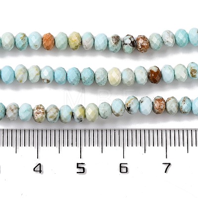 Natural Howlite Beads Strands G-H025-03C-09-1