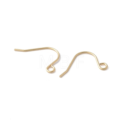 316 Surgical Stainless Steel Earring Hooks STAS-Z124-02C-G-1