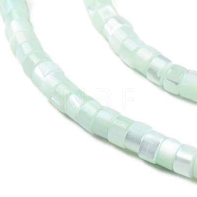 Natural Trochus Shell Dyed Beads Strands BSHE-E030-10A-1