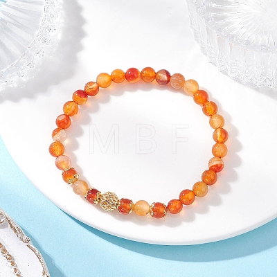 Natural Red Agate & Brass Round Beaded Stretch Bracelets for Women BJEW-JB12265-01-1