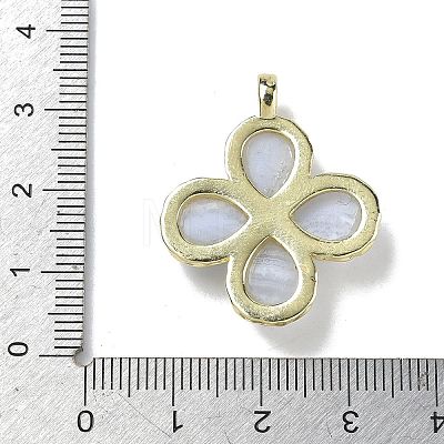 Natural Blue Lace Agate Faceted Pendants G-A308-01G-07-1