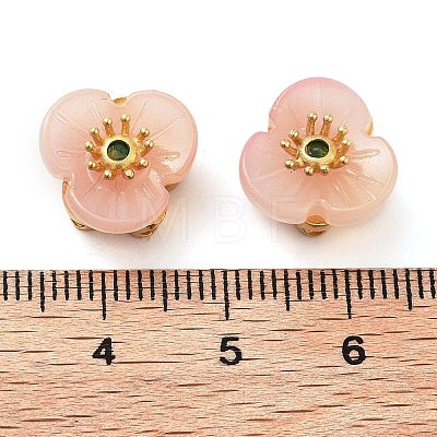 Transparent Brass Glass Beads GLAA-S001-02-1