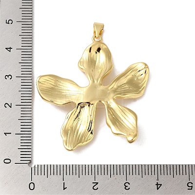 Rack Plating Brass & Cubic Zirconia Pendants KK-L216-068G-1