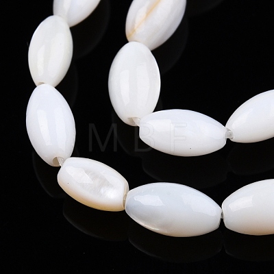 Natural Freshwater Shell Beads Strands SHEL-N026-212-A01-1