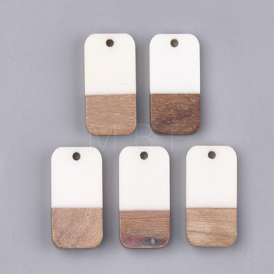 Resin & Walnut Wood Pendants RESI-S358-11D-1