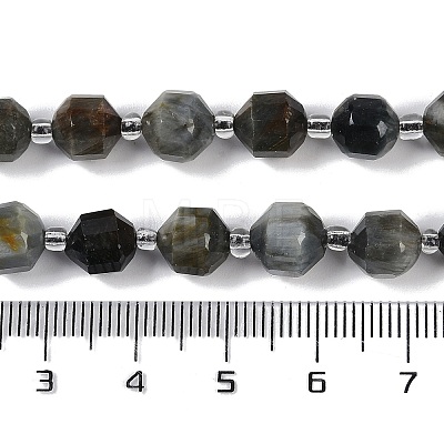 Natural Eagle Eye Stone Beads Strands G-O201B-124F-1