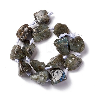 Natural Labradorite Beads Strands G-B024-12-1