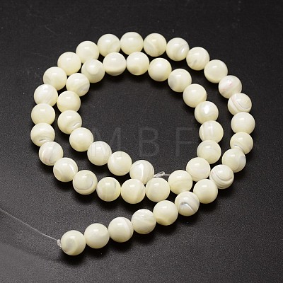 Shell Beads Strands SSHEL-E571-39-3mm-1