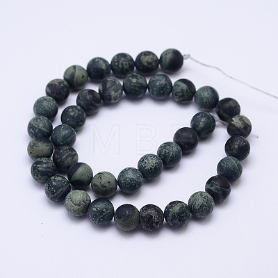 Natural Kambaba Jasper Beads Strands G-D744-10mm-1