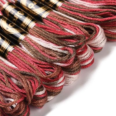 10 Skeins 6-Ply Polyester Embroidery Floss OCOR-K006-A06-1