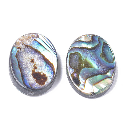 Natural Abalone Shell/Paua Shell Beads X-SSHEL-T008-14-1