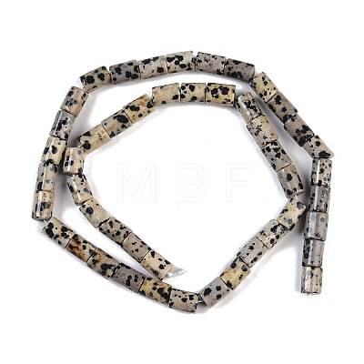 Natural Dalmatian Jasper Beads Strands G-C128-A18-01-1