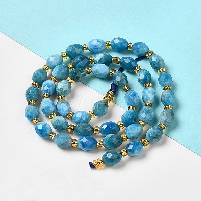 Natural Apatite Beads Strands G-H297-C03-01-1